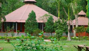 Fewa Wildlife Resort